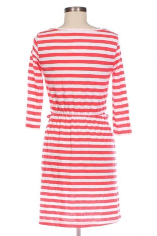 Kleid Terranova, Größe M, Farbe Mehrfarbig, Preis € 10,29