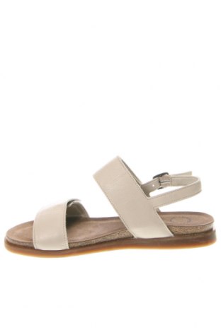 Sandalen Cashott, Größe 37, Farbe Beige, Preis 104,64 €