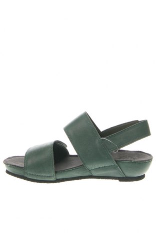 Sandalen Cashott, Größe 37, Farbe Grün, Preis € 59,64