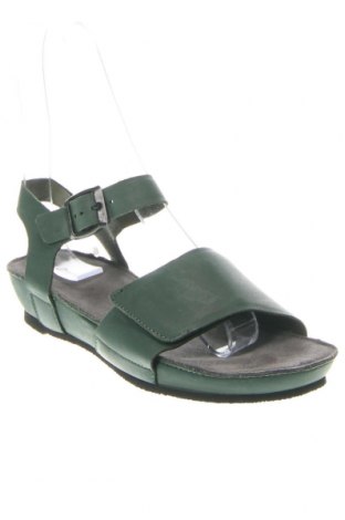 Sandalen Cashott, Größe 37, Farbe Grün, Preis € 62,78