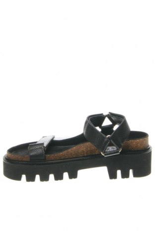 Sandalen Cashott, Größe 37, Farbe Schwarz, Preis 104,64 €