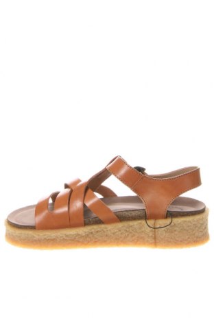 Sandalen Cashott, Größe 37, Farbe Braun, Preis € 62,78