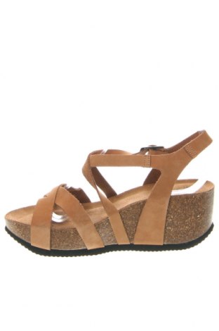 Sandalen Cashott, Größe 37, Farbe Braun, Preis 62,78 €