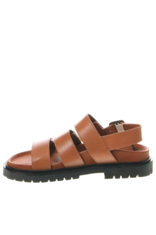 Sandalen Cashott, Größe 37, Farbe Braun, Preis 62,78 €