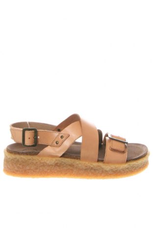 Sandalen Cashott, Größe 37, Farbe Beige, Preis 62,78 €