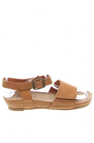 Sandalen Cashott, Größe 36, Farbe Braun, Preis 62,78 €