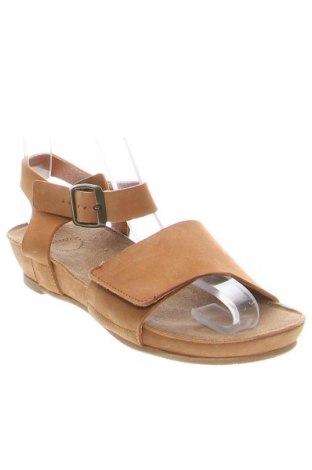 Sandalen Cashott, Größe 36, Farbe Braun, Preis € 104,64