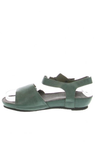 Sandalen Cashott, Größe 36, Farbe Grün, Preis 59,64 €