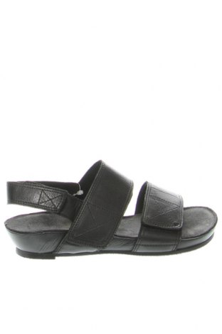 Sandalen Cashott, Größe 35, Farbe Schwarz, Preis 59,64 €