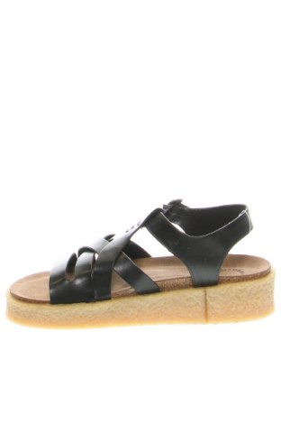 Sandalen Cashott, Größe 35, Farbe Schwarz, Preis € 62,78