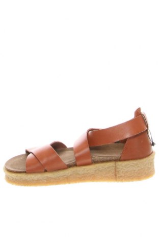 Sandalen Cashott, Größe 37, Farbe Braun, Preis € 62,78