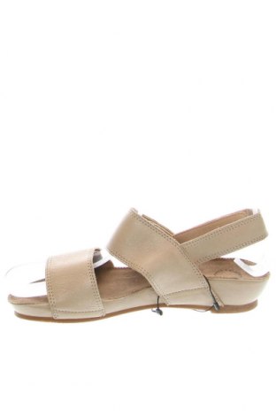 Sandalen Cashott, Größe 36, Farbe Beige, Preis 62,78 €