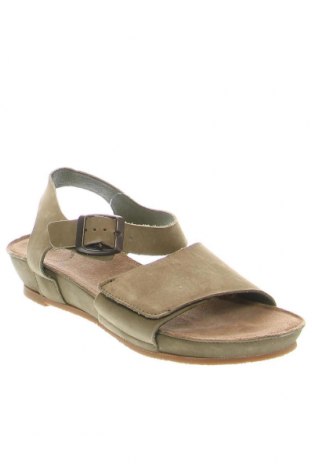 Sandalen Cashott, Größe 36, Farbe Grün, Preis 59,64 €