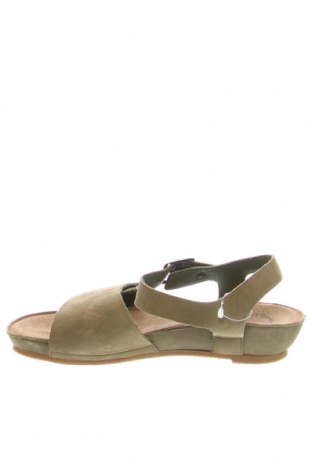 Sandalen Cashott, Größe 36, Farbe Grün, Preis 59,64 €