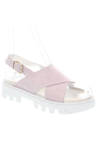 Sandalen Cashott, Größe 37, Farbe Lila, Preis 62,78 €