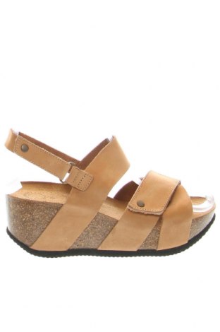 Sandalen Cashott, Größe 37, Farbe Beige, Preis 62,78 €