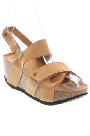 Sandalen Cashott, Größe 37, Farbe Beige, Preis 59,64 €