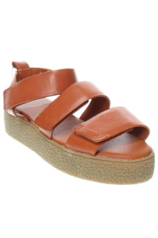 Sandalen Cashott, Größe 37, Farbe Braun, Preis 62,78 €