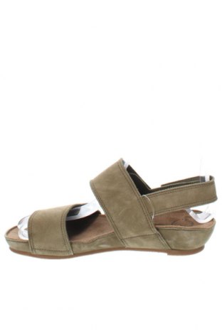 Sandalen Ca'shott, Größe 37, Farbe Grün, Preis € 56,51