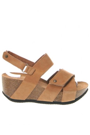 Sandalen Cashott, Größe 37, Farbe Braun, Preis 62,78 €