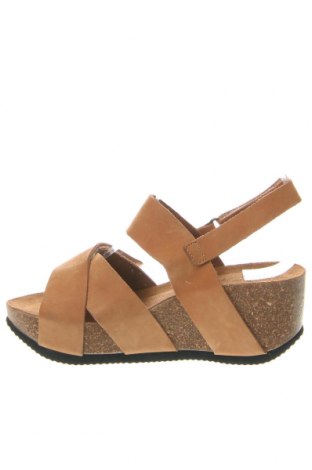 Sandalen Cashott, Größe 37, Farbe Braun, Preis € 59,64