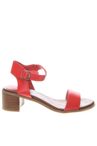 Sandalen Kickers, Größe 41, Farbe Rot, Preis 63,92 €