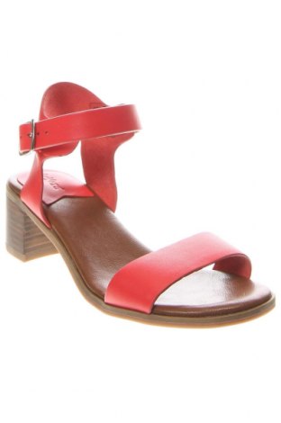 Sandalen Kickers, Größe 39, Farbe Rot, Preis € 63,92