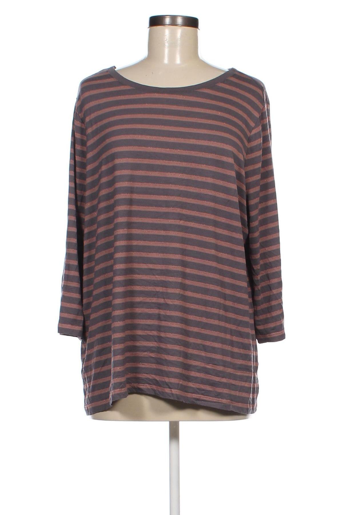 Damen Shirt Betty Barclay, Größe L, Farbe Mehrfarbig, Preis 16,70 €