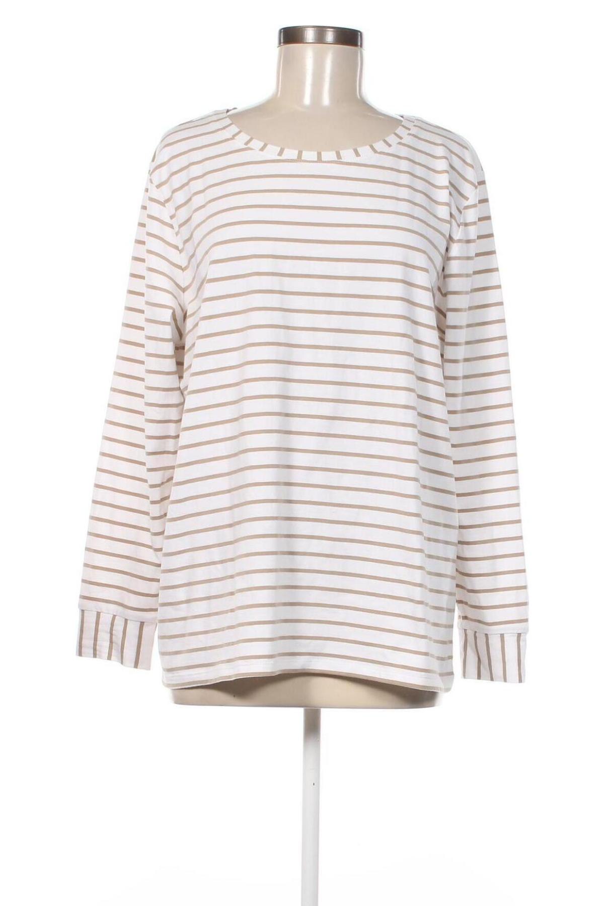 Damen Shirt Bianca, Größe XL, Farbe Beige, Preis 5,70 €