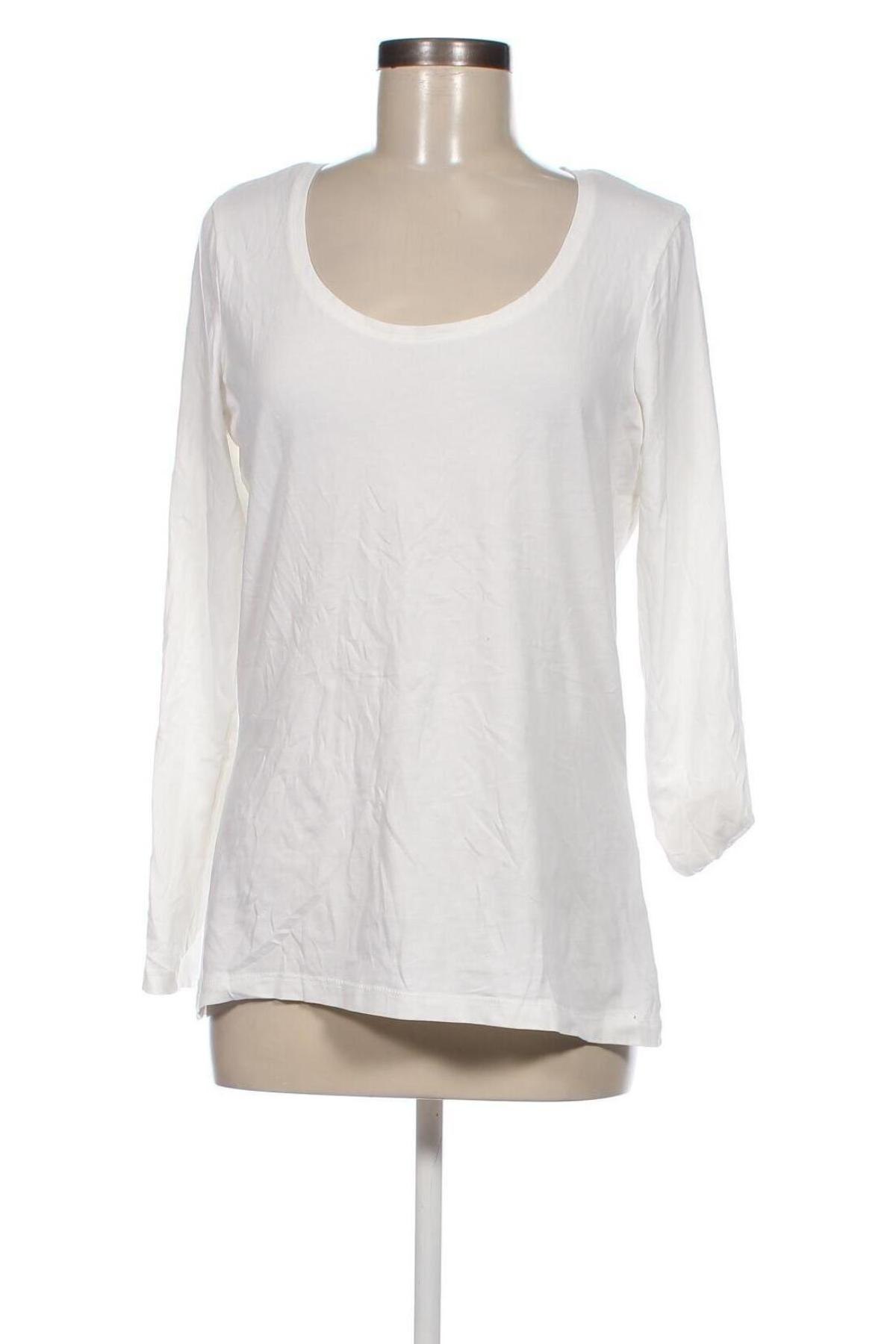 Γυναικεία μπλούζα Esmara, Μέγεθος L, Χρώμα Λευκό, Τιμή 4,70 €
