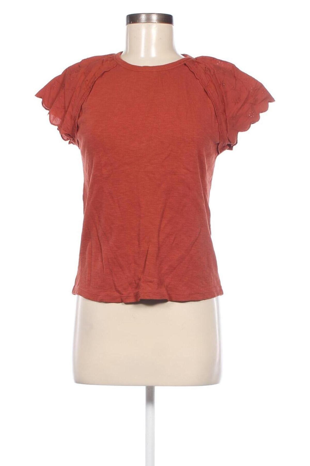 Γυναικεία μπλούζα Esprit, Μέγεθος XS, Χρώμα Καφέ, Τιμή 6,31 €