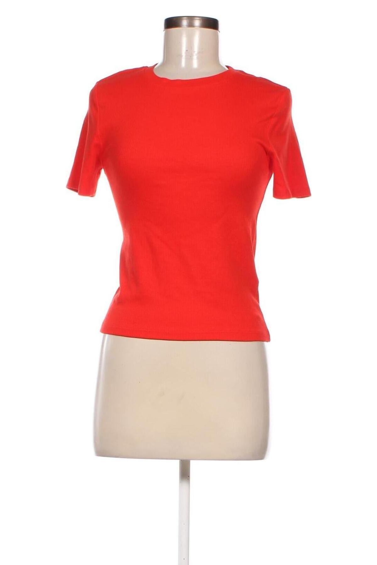 Damen Shirt FSBN Sister, Größe M, Farbe Rot, Preis 4,63 €