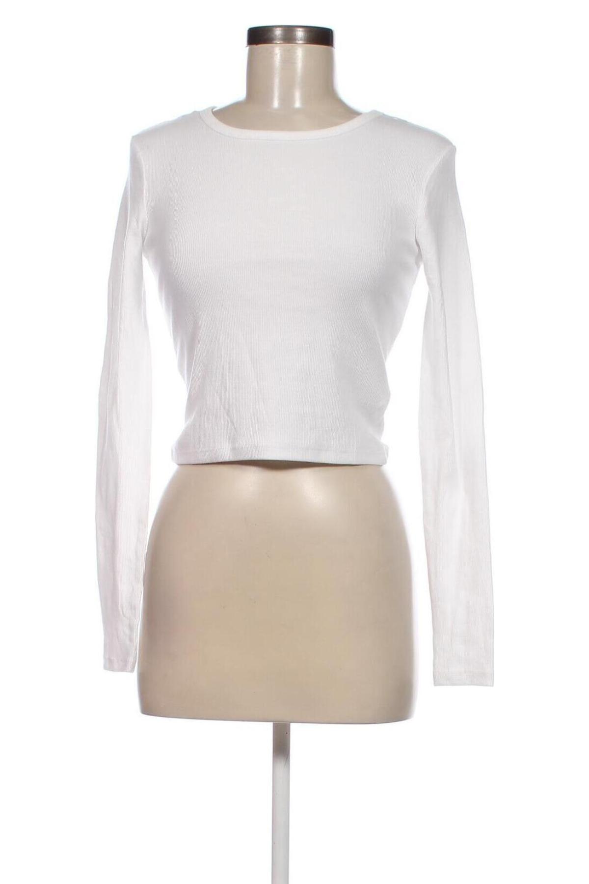 Damen Shirt Pull&Bear, Größe M, Farbe Weiß, Preis € 8,47