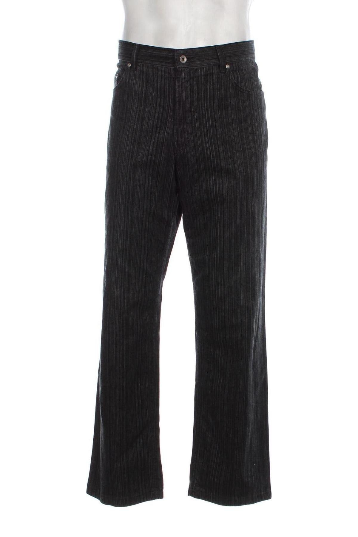 Herren Jeans Brax, Größe L, Farbe Mehrfarbig, Preis 26,10 €