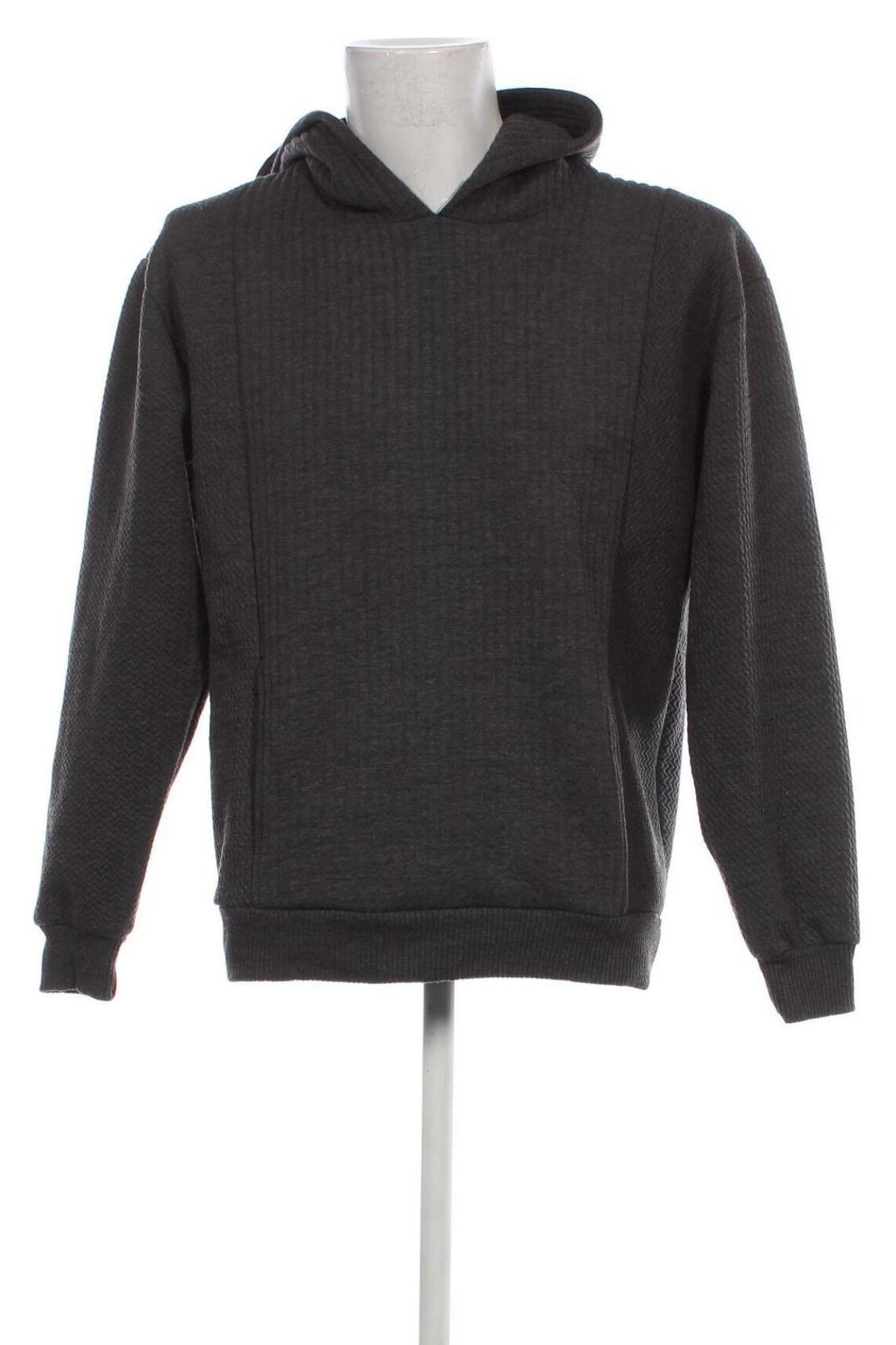 Herren Sweatshirt Zara, Größe L, Farbe Grau, Preis € 13,15
