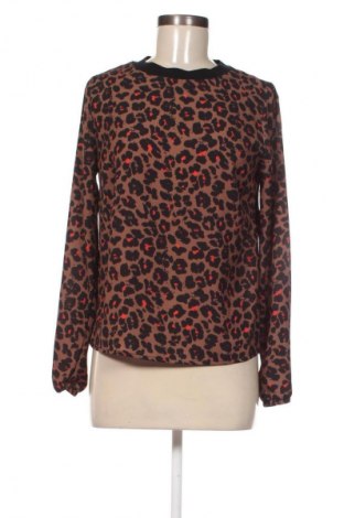 Damen Shirt 17 & Co., Größe S, Farbe Mehrfarbig, Preis € 13,99