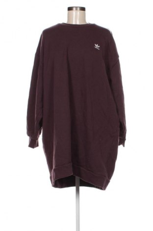 Damen Shirt Adidas, Größe XXL, Farbe Lila, Preis 33,99 €