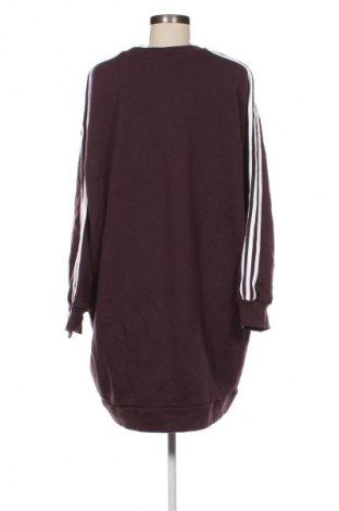 Damen Shirt Adidas, Größe XXL, Farbe Lila, Preis 33,99 €