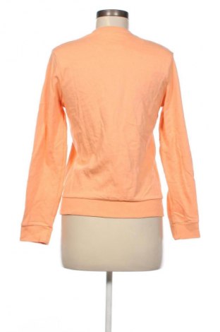 Bluză de femei B&C Collection, Mărime S, Culoare Portocaliu, Preț 64,99 Lei
