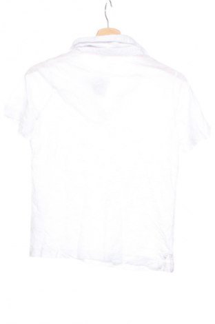 Damen Shirt Boden, Größe XS, Farbe Weiß, Preis 28,99 €