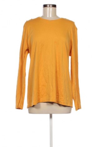 Γυναικεία μπλούζα Clarina Collection, Μέγεθος XL, Χρώμα Κίτρινο, Τιμή 12,99 €