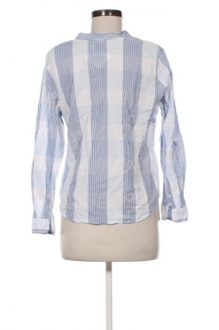 Γυναικεία μπλούζα Collection L, Μέγεθος M, Χρώμα Πολύχρωμο, Τιμή 12,99 €