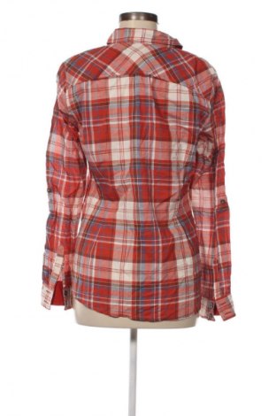 Bluzka damska Colours Of The World, Rozmiar L, Kolor Kolorowy, Cena 62,99 zł
