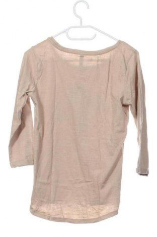 Damen Shirt Colours Of The World, Größe XXS, Farbe Beige, Preis € 10,00