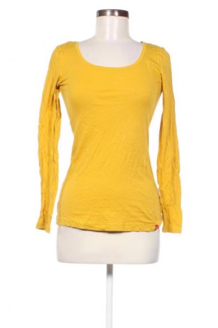 Damen Shirt Edc By Esprit, Größe M, Farbe Gelb, Preis € 23,99