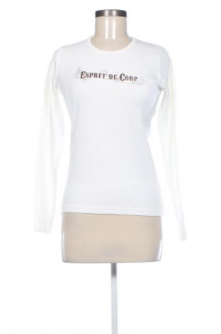 Damen Shirt Esprit, Größe L, Farbe Weiß, Preis 17,36 €