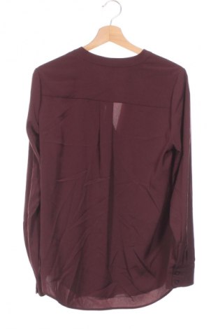 Damen Shirt H&M, Größe XS, Farbe Braun, Preis € 13,99
