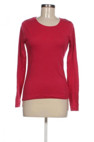 Damen Shirt Intown, Größe S, Farbe Rosa, Preis 13,99 €