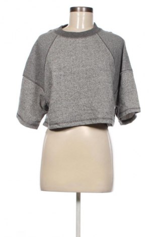Damen Shirt Ivy Park, Größe S, Farbe Grau, Preis 28,99 €