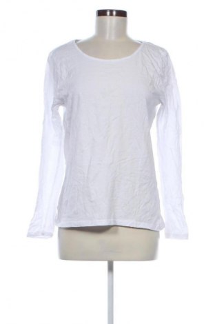Damen Shirt Janina, Größe L, Farbe Weiß, Preis 13,99 €